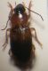 20160406_175033.jpg