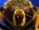 2016-04-09-21.00.16 ZS PMax.jpg