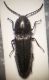20160419_192619.jpg