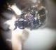 20160420_172901.jpg