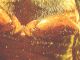 Capture_24.jpg