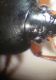 20160427_092821.jpg