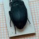 IMG-20160428-WA0011.jpg