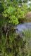 IMG-20160429-WA0007.JPG