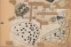 07_Nabokov_ColorPlate40-690.jpg