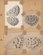 09_Nabokov_ColorPlate45-690.jpg