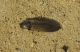 DSCN9170.JPG