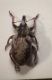 20160504_103503.jpg