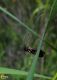 20160502-7985.jpg