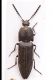 2016-05-13-23.54.33-ZS-PMax.jpg