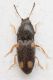 2016-05-13-23.57.28-ZS-PMax.jpg