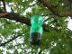 DSCN2958.JPG