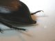 Immagine 039.jpg