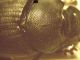 Capture_27.jpg