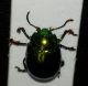 20160526_113525.jpg