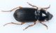 lagoLiscia280516 070mod.jpg