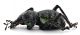 CombM2003_38zF6cr.jpg