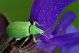 IMGP6484 small.jpg
