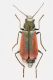 2016-06-09-23.57.17-ZS-PMax.jpg