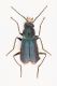 2016-06-09-22.29.47-ZS-PMax.jpg