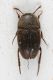 2016-06-15-22.27.27-ZS-PMax.jpg