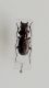 DSCN9773.JPG