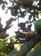 20160615-0714.jpg