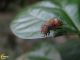 20141005-2.jpg