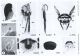 SWScan00304.JPG