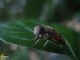 20141005-5.jpg