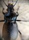 rsz_img_20160622_112517.jpg