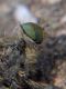 rsz_img_20160629_110831.jpg