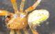 rsz_1img_0_burst20160625191327.jpg