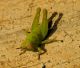 rsz_img_20160707_193842.jpg