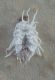 IMG-20160708-WA0002.jpg