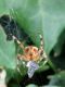 rsz_img_20160713_170932.jpg
