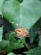 rsz_img_20160713_171323.jpg