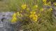 WP_20160716_11_15_26_Pro.jpg