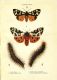 CUbiodiversity2187167_0130.jpg