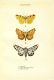 CUbiodiversity2187167_0154.jpg