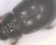 Image214_renamed_29803.jpg