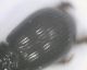 Image215_renamed_10386.jpg