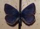 20160807_191734.jpg