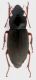 DSCN2107.JPG