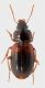 DSCN2119.JPG