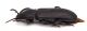 CombM2138_18zF6cr.jpg