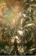 20160905_151855_R=8_S=4.jpg