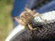 DSCN5783.JPG