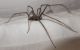 DSCF6153.JPG