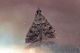 DSCN6824.JPG